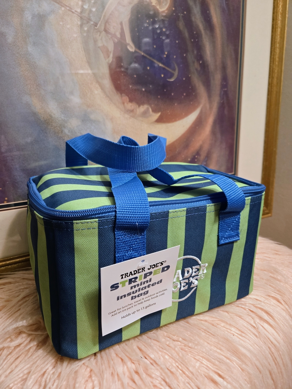 Trader Joe's Striped Insulated Cooler Bag - Blue & Lime Green NWT